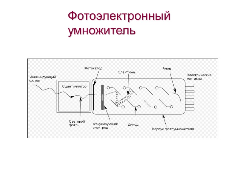 Фотоэлектронный умножитель